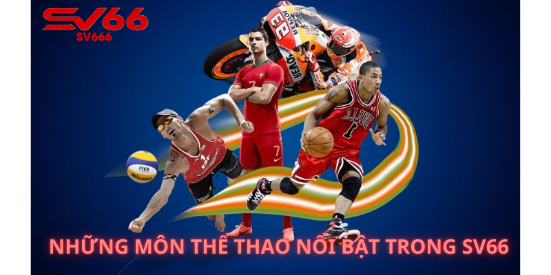 Những Môn Thể Thao Nổi Bật Trong Sv66